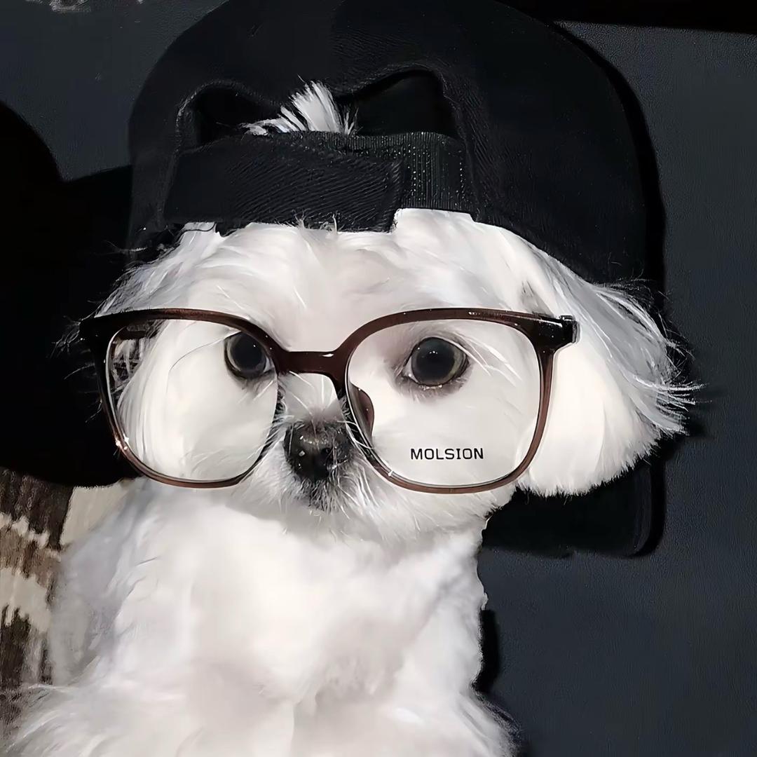 我叫所谓