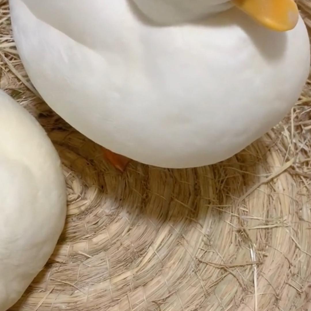 临沂宏润
