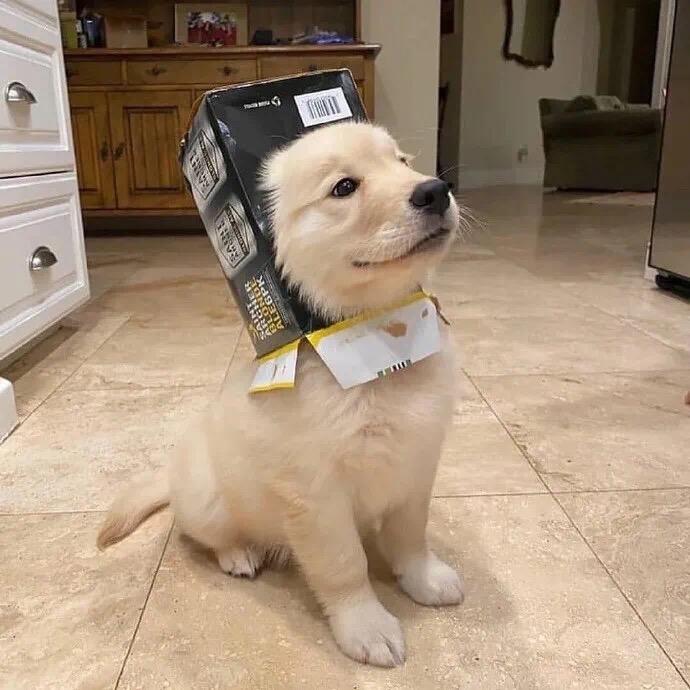 娜喜