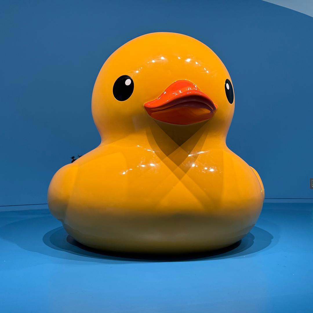 欣想事橙