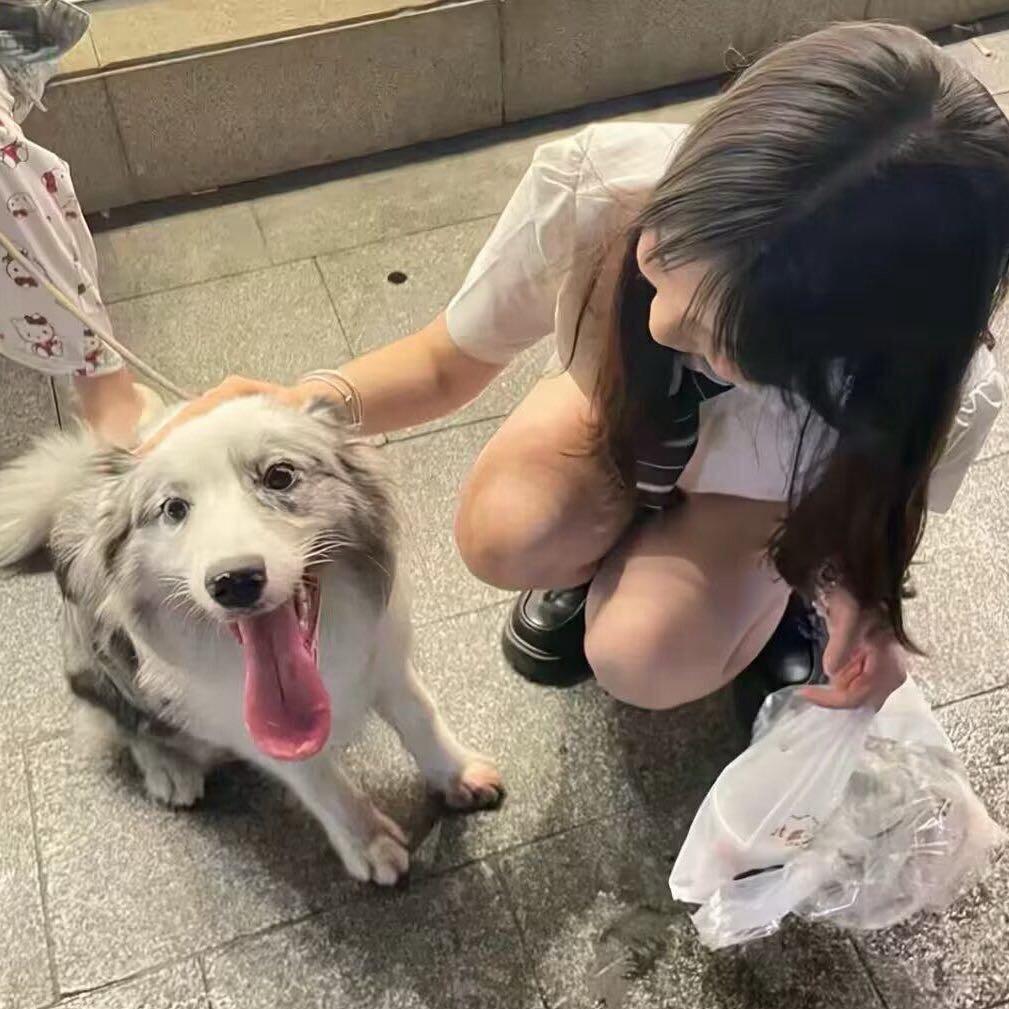 小虞不吃香菜🐟
