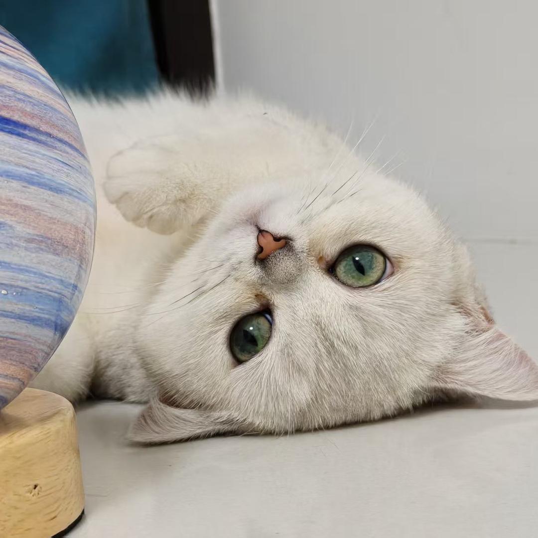 十三幺是幺幺呀呀呀