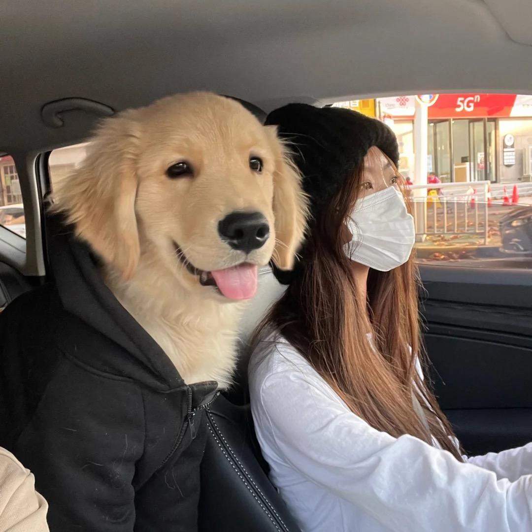 明天见女装陈港店