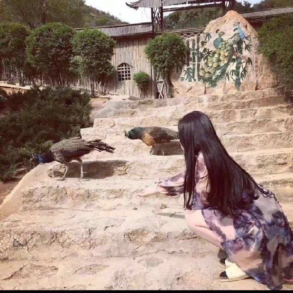 淡定.