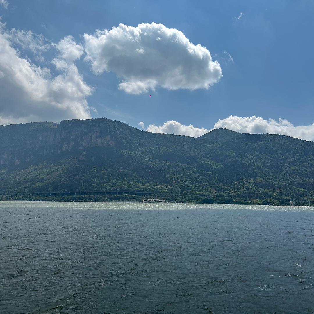 一定要好起来.隆尚泽直播号