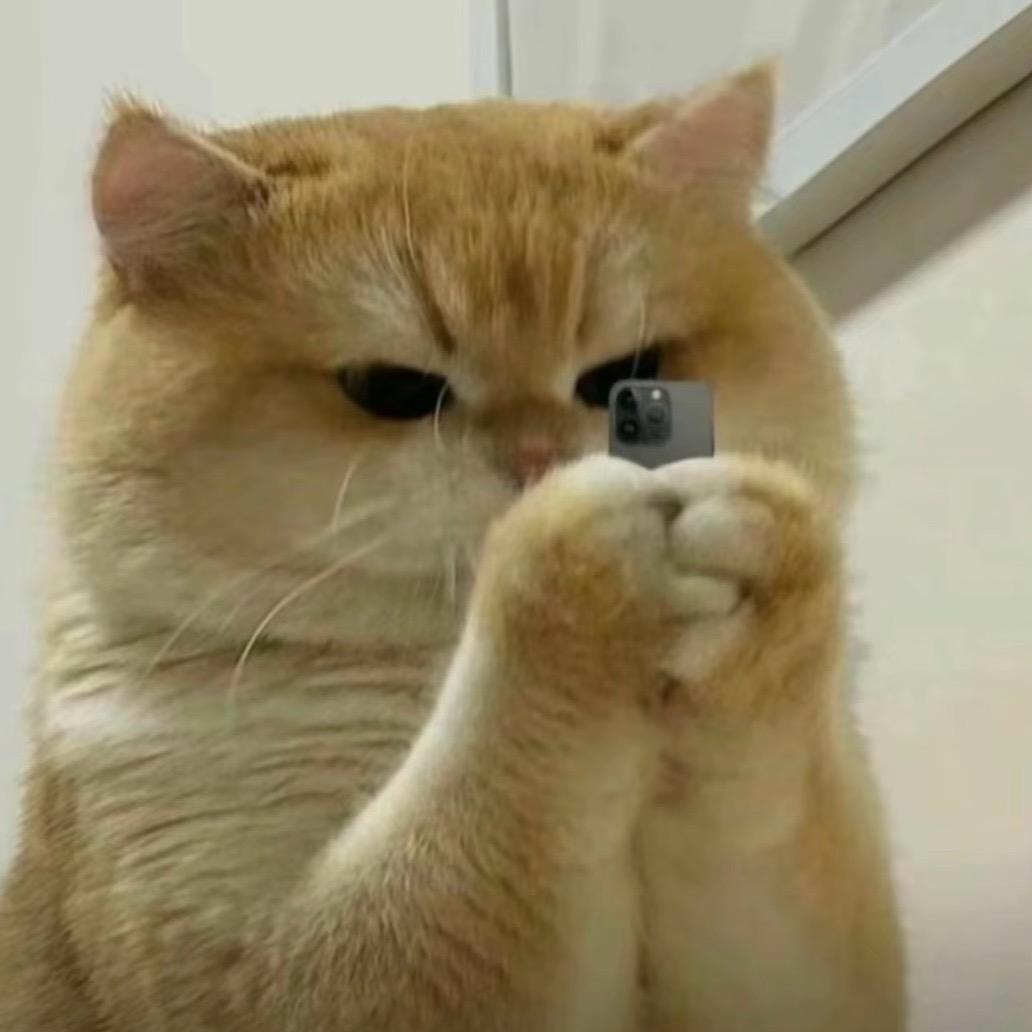 安老头儿长白山特产