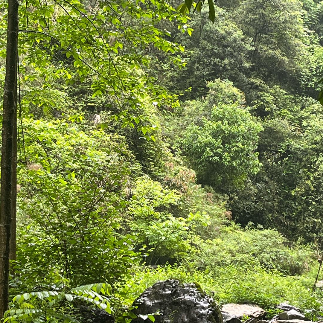 糖果