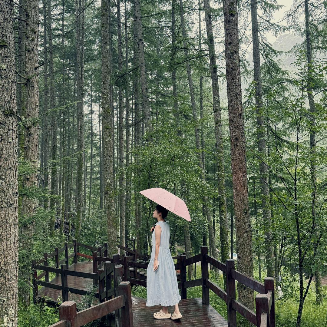 小倩来了