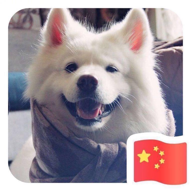 学长说公考（安徽馈诚教育）