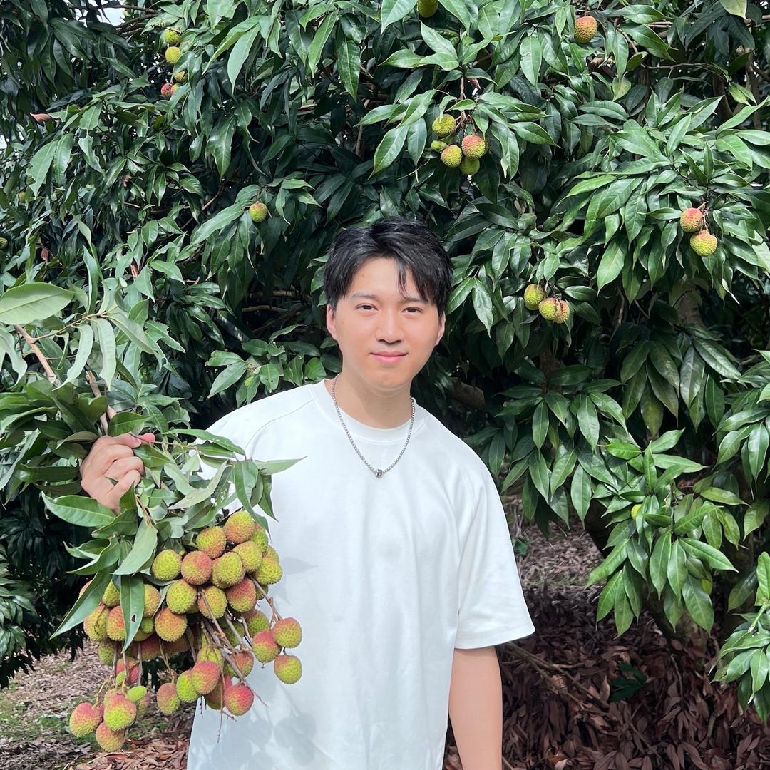 小陈总增城荔枝园