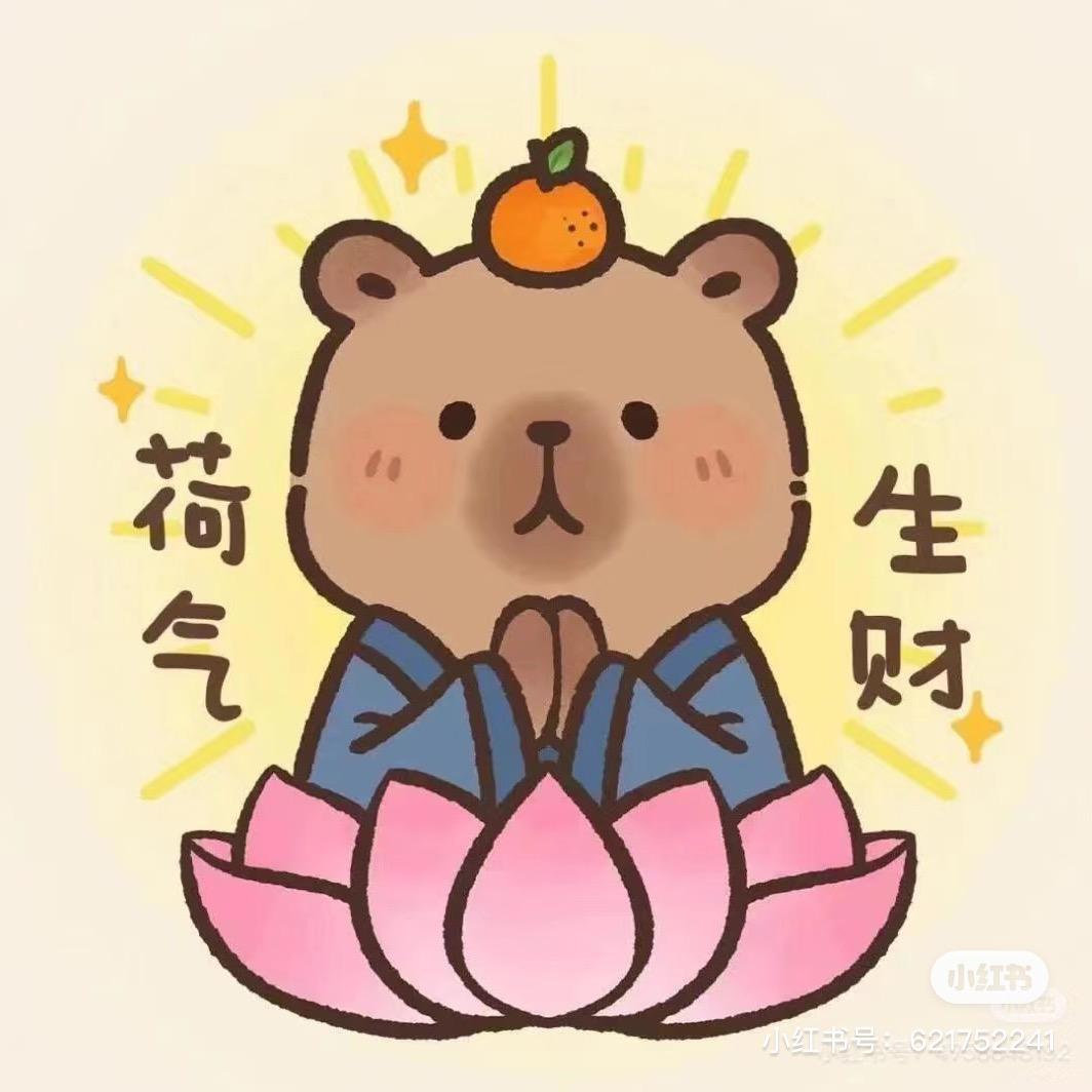花 开富贵🌷