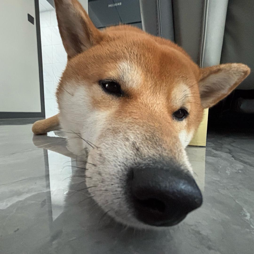 一周五顿肯德基