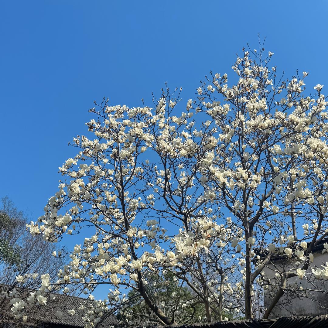 若若户外
