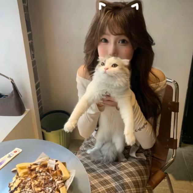 夹心饼干