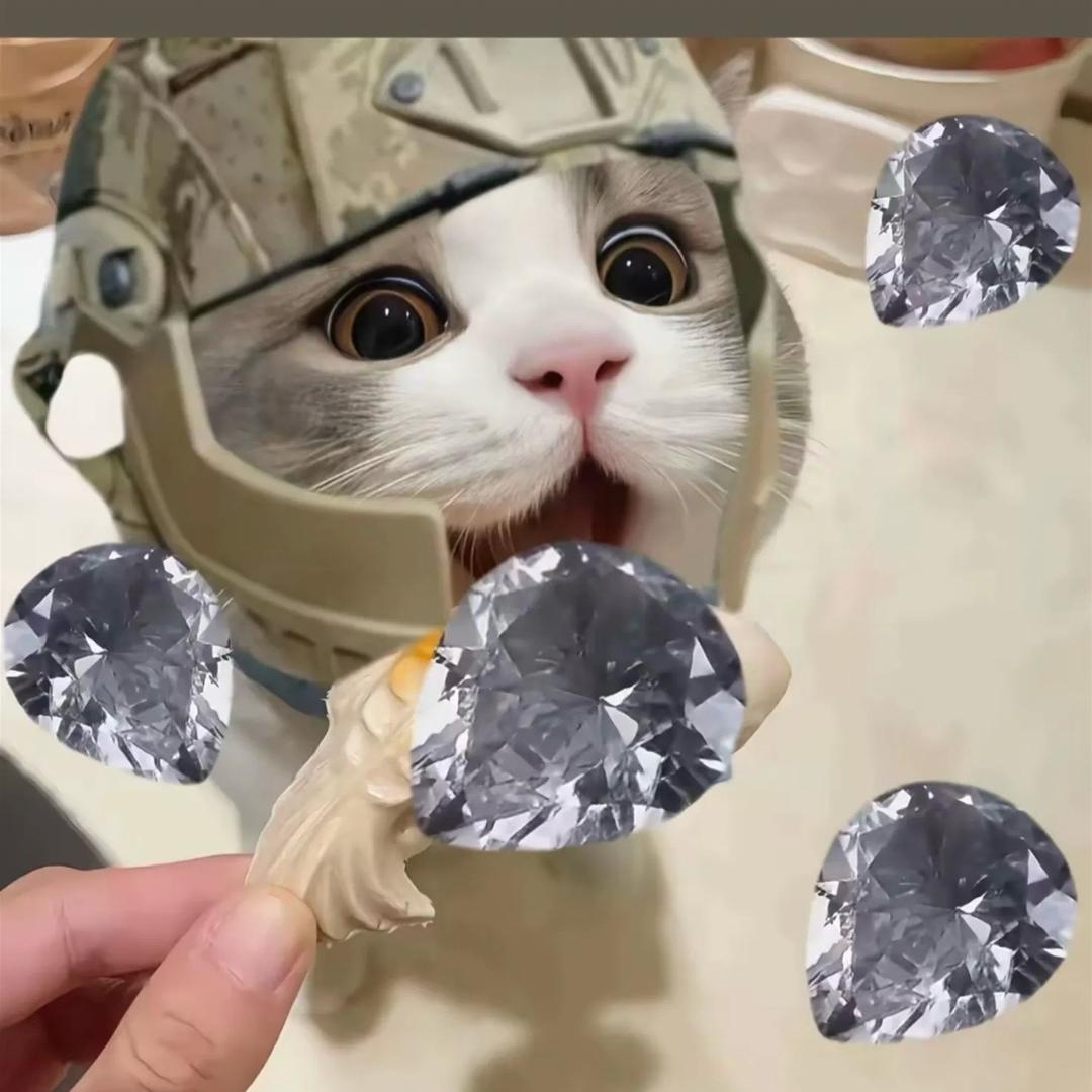 228(三角洲寻宝)