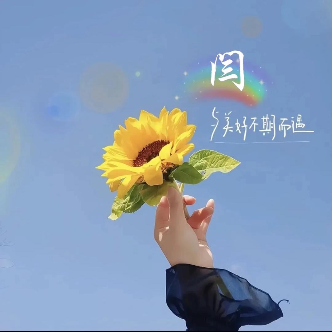 小小马🐎