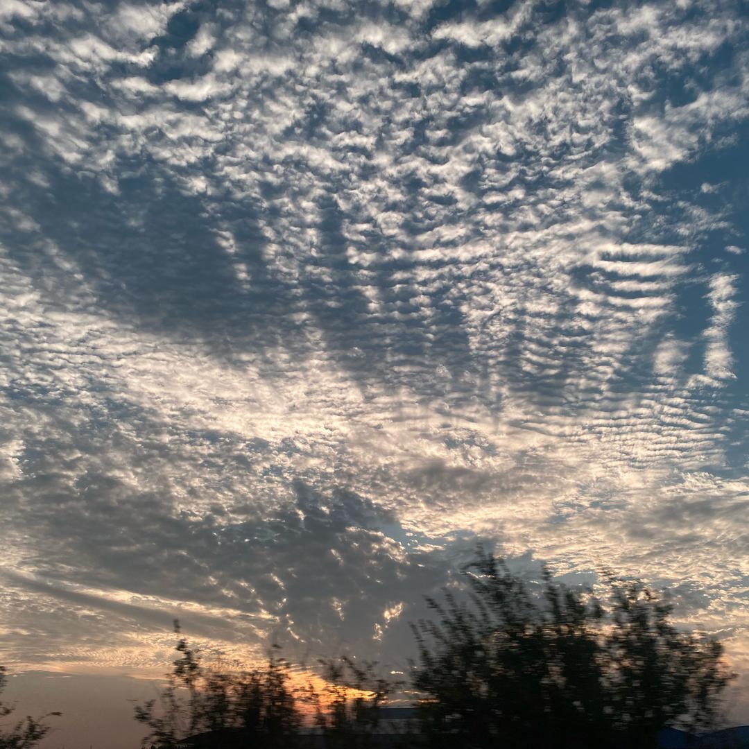 奇奇怪怪可可爱爱