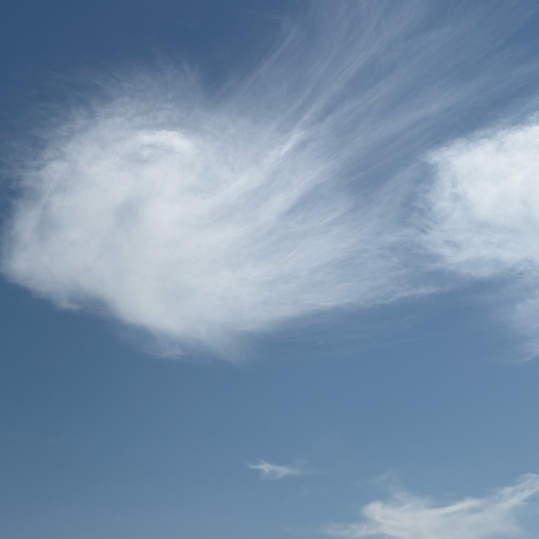 Love全糖去冰梦 🍹