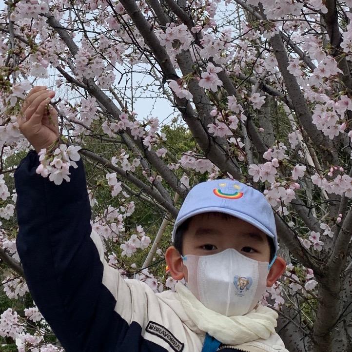 毛头