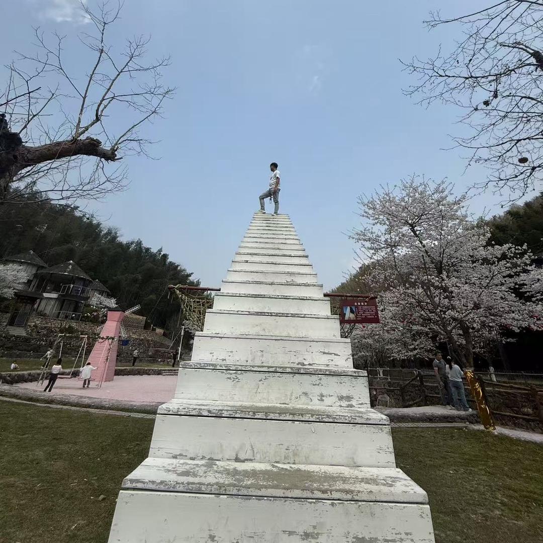 田园里的干豆