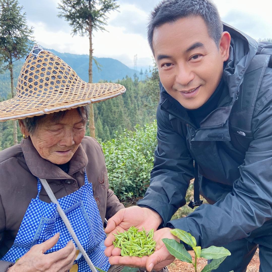 高山茶帝