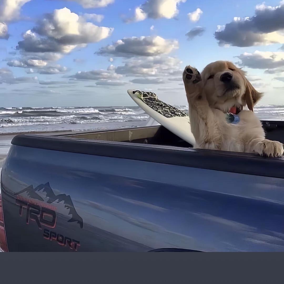 十年（主机游戏）