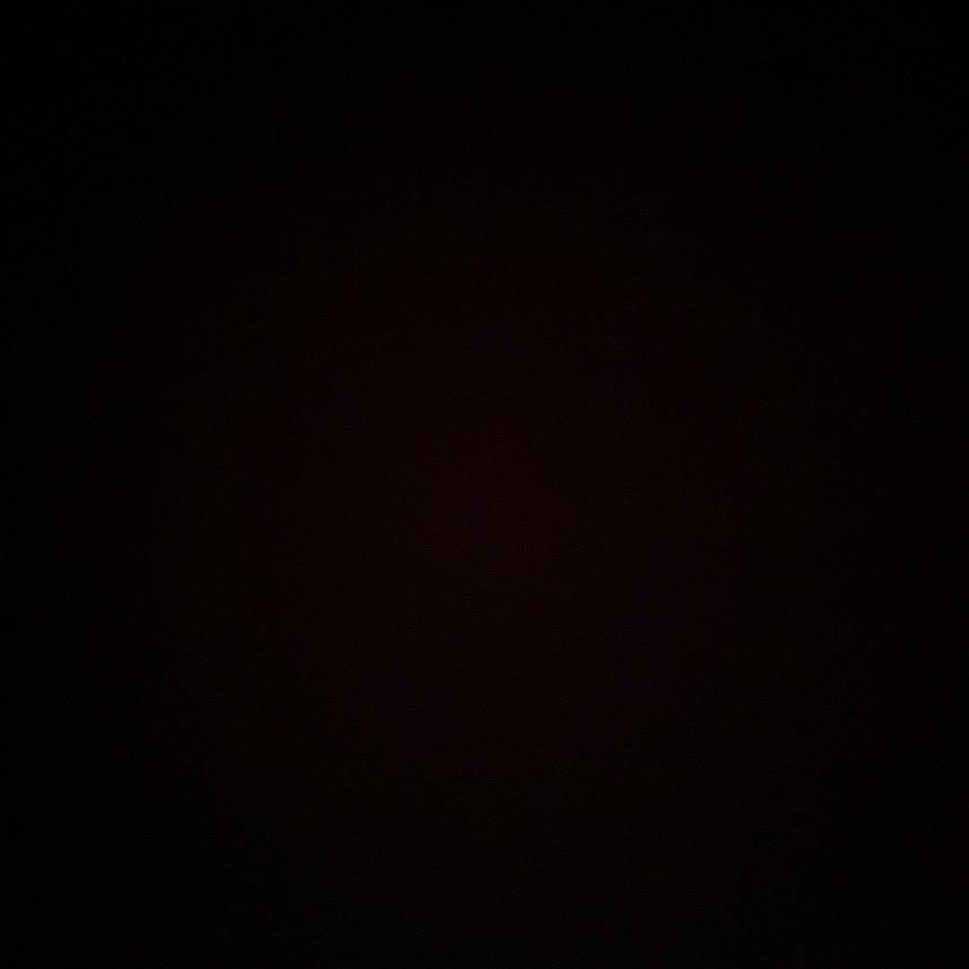 L。
