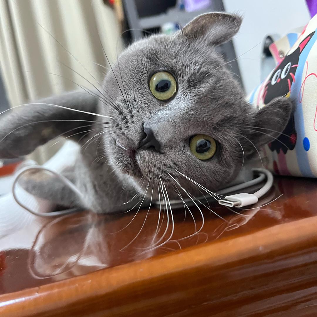 来一瓶百事可乐💥