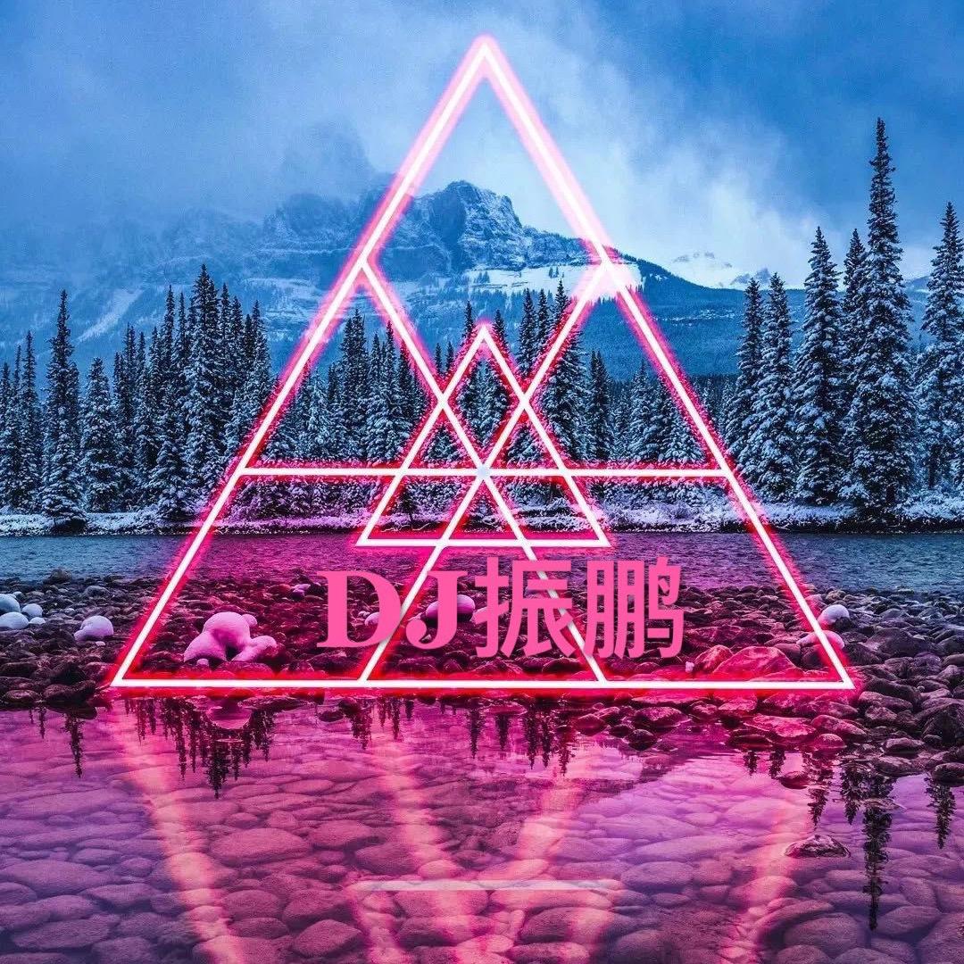 DJ振鹏（私人车载 U 盘）🎵