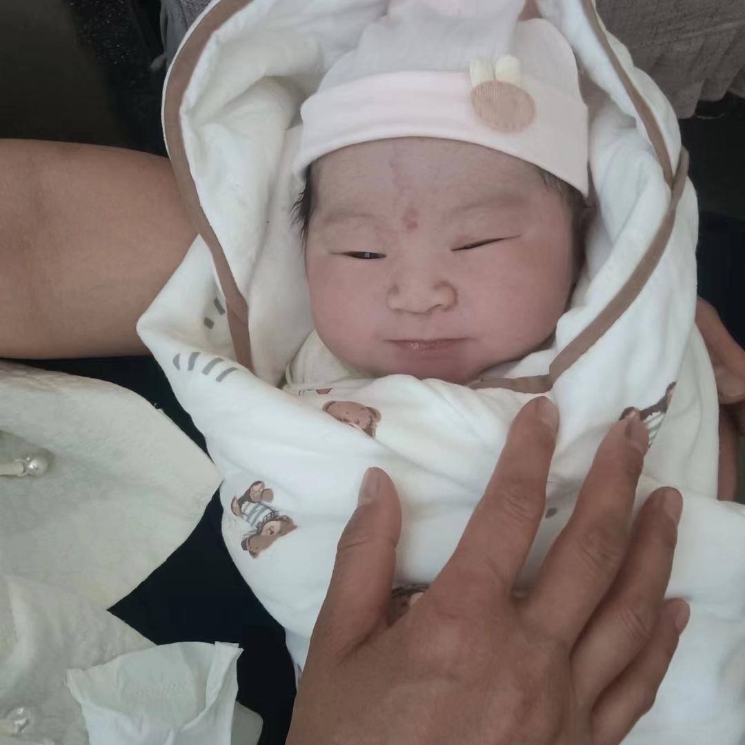 爱尔兰牧羊人