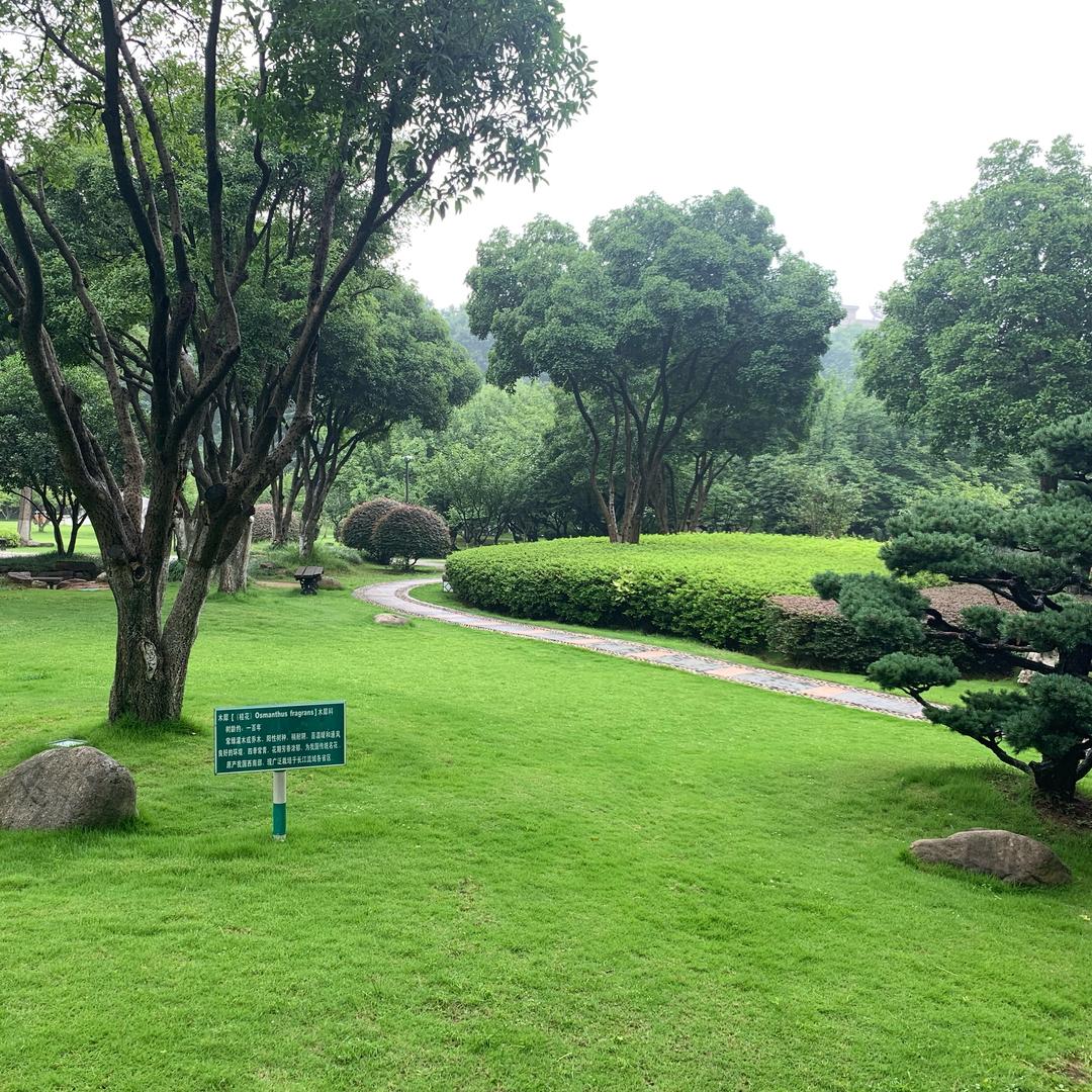 盛景园林绿化 （连云港）