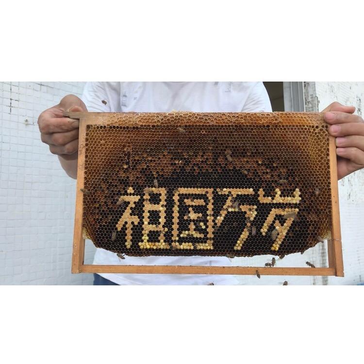 巧哥不巧