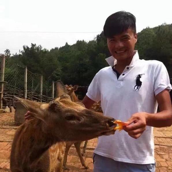 串烤宗宗主：凡大也