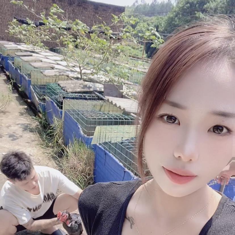 郑点钱斗鸡
