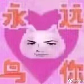 清七