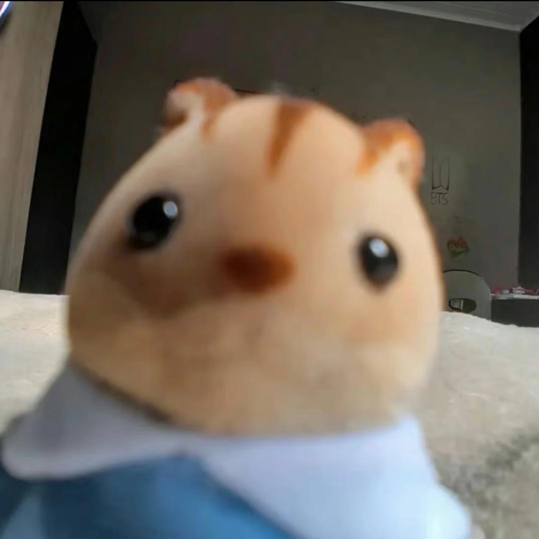 cocoo