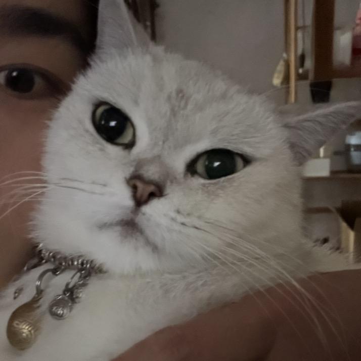🍀李跑跑