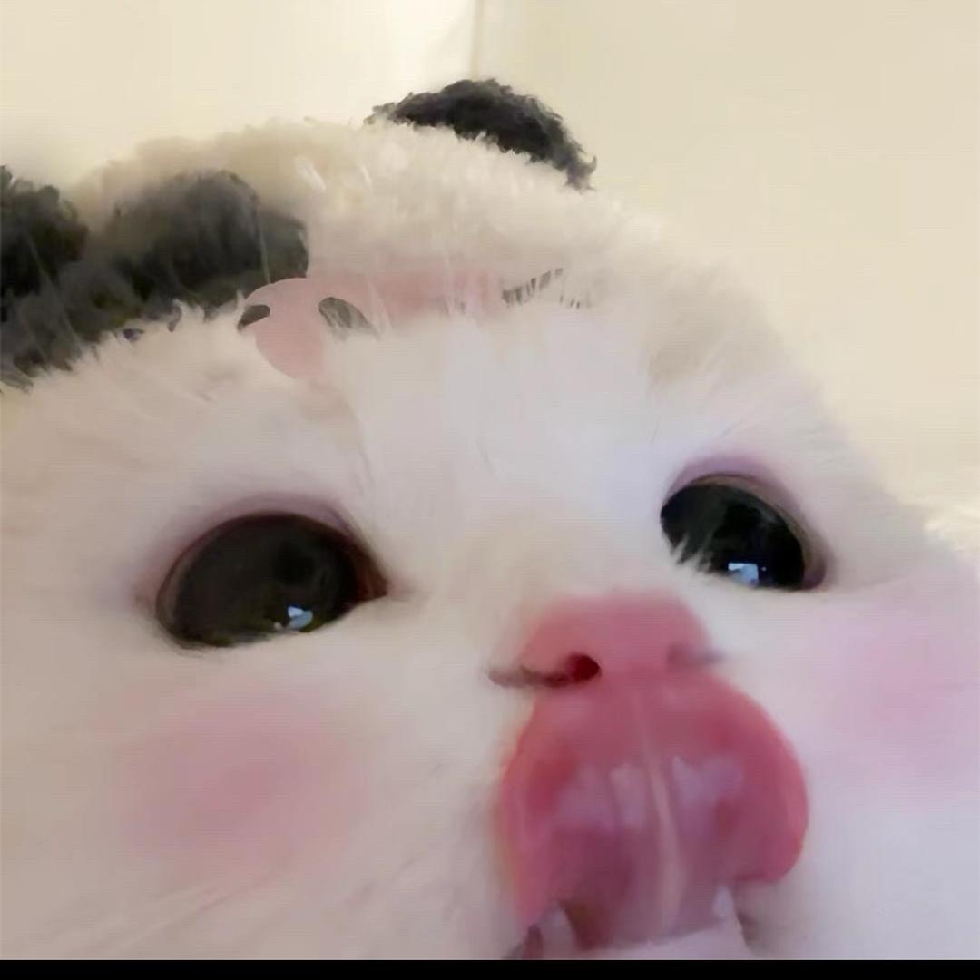吐司（九月十二号生日版）