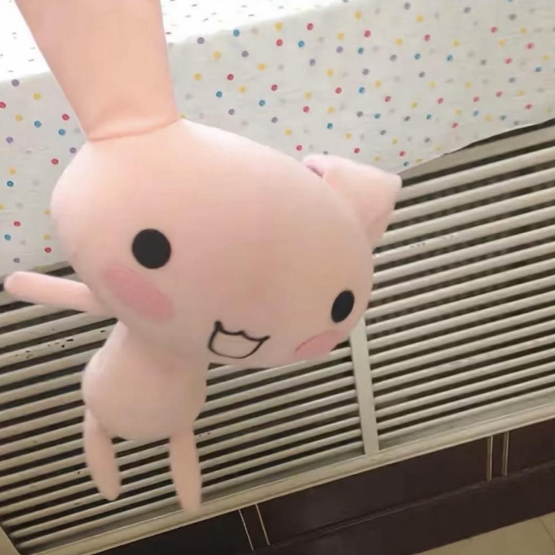 皮蛋King