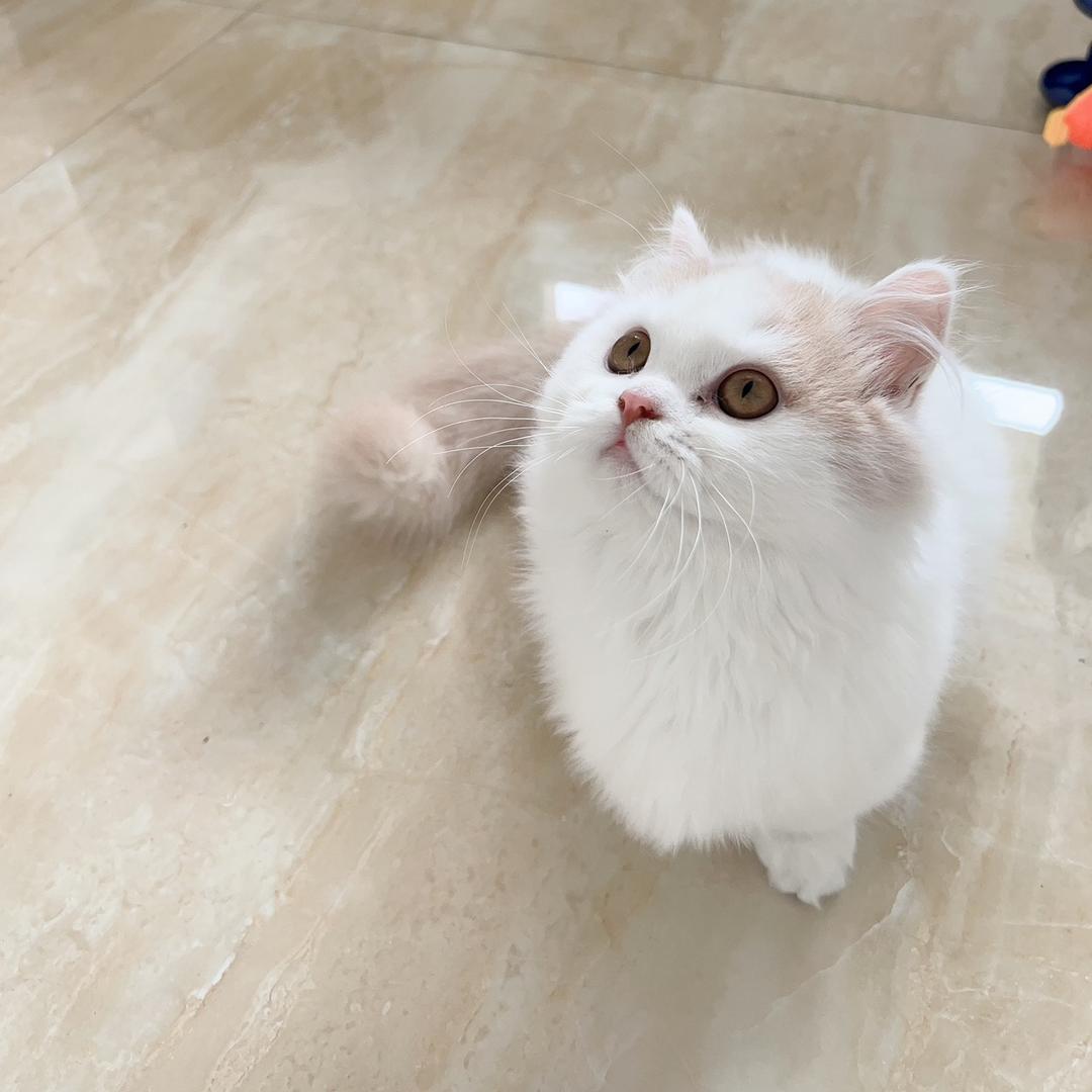 🌈🧚‍♀️阿弥陀佛