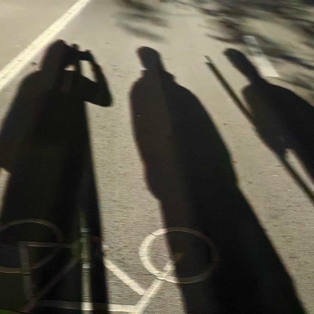 三只钓鱼佬