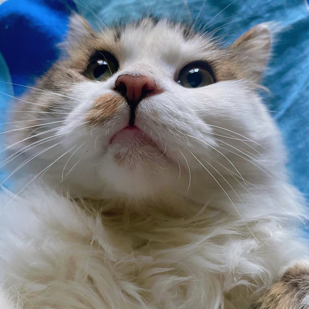 陆家庄烤鱼（待开业版）