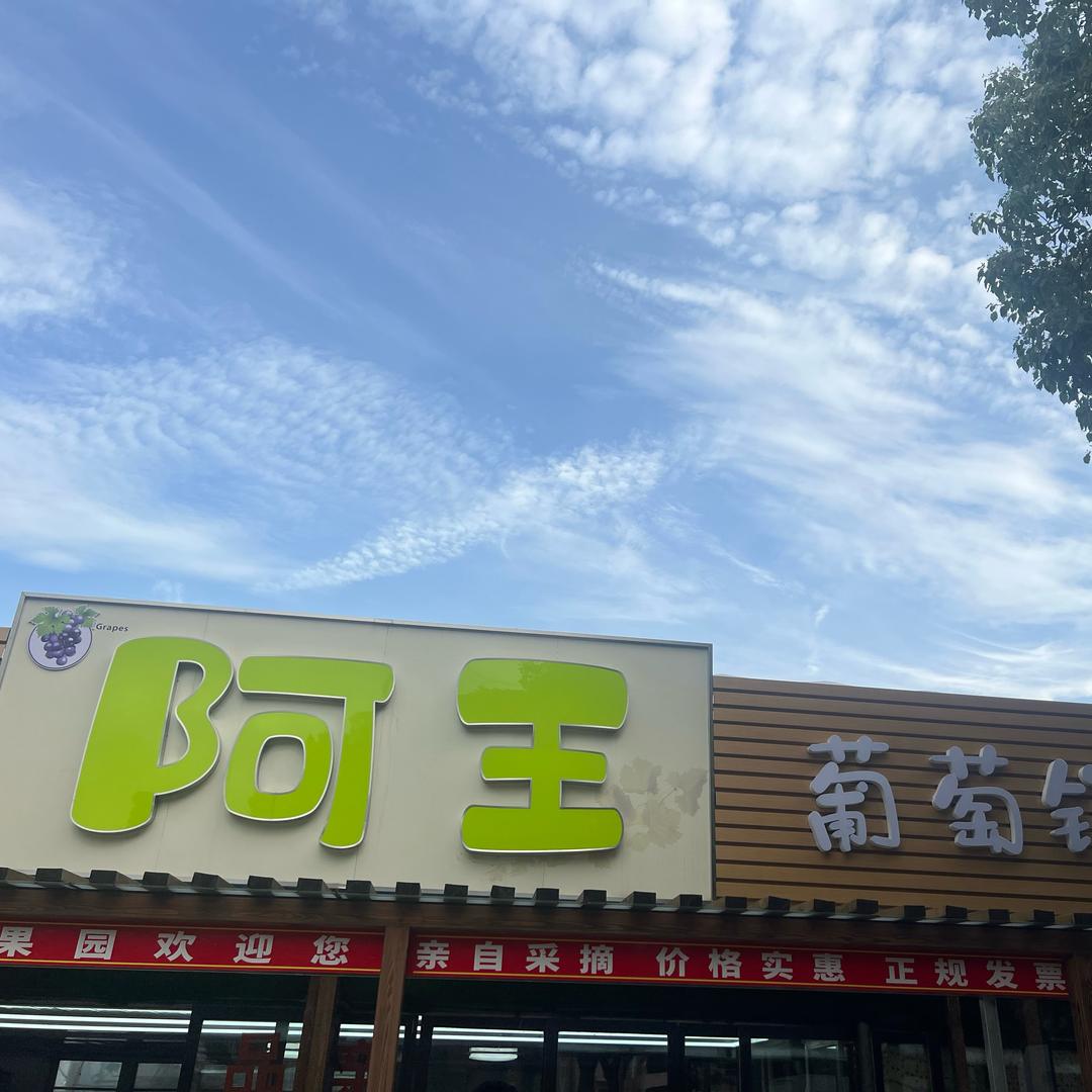 马陆葡萄种植专业合作社阿王果园