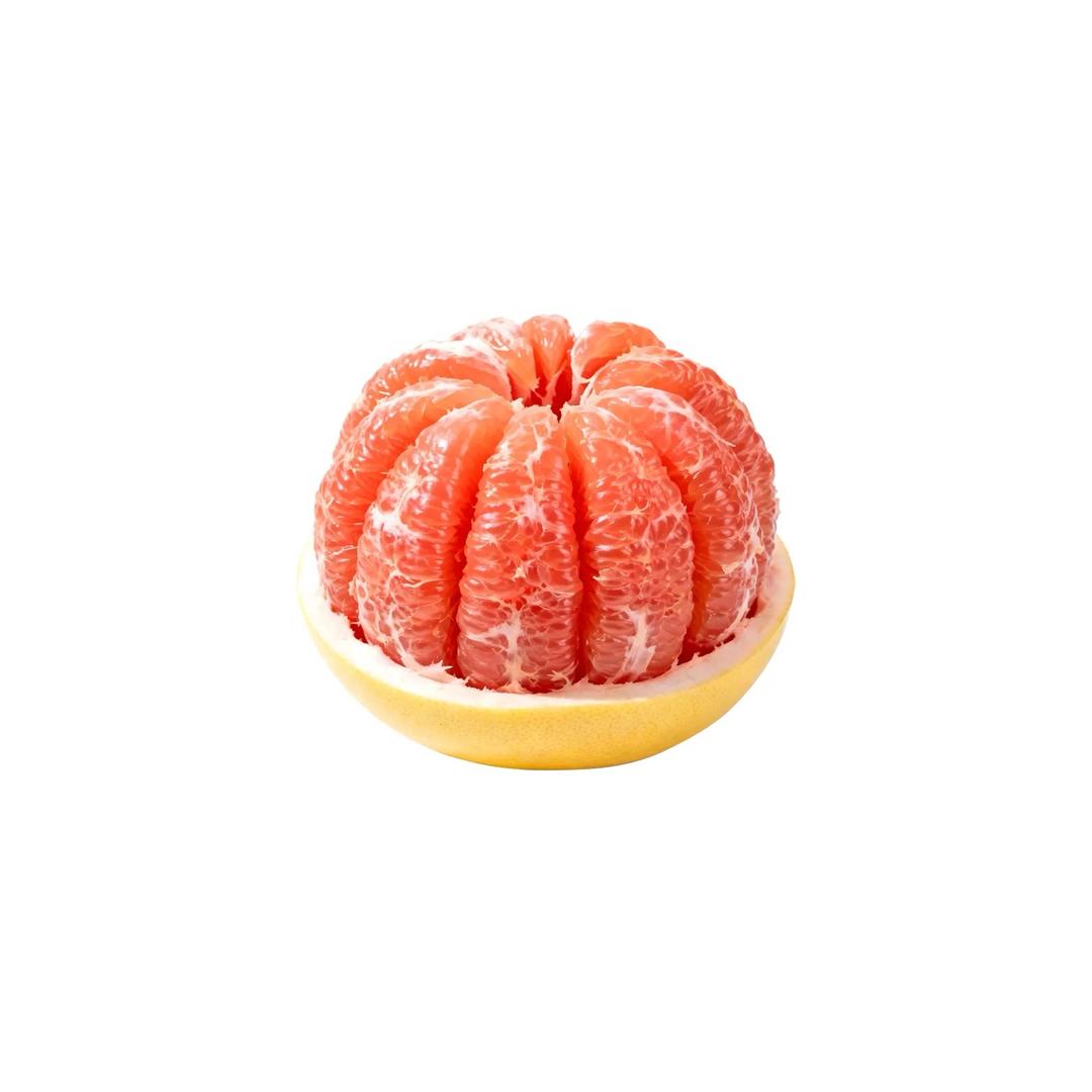 ㅤㅤ  ￰ㅤㅤㅤㅤ ㅤㅤ