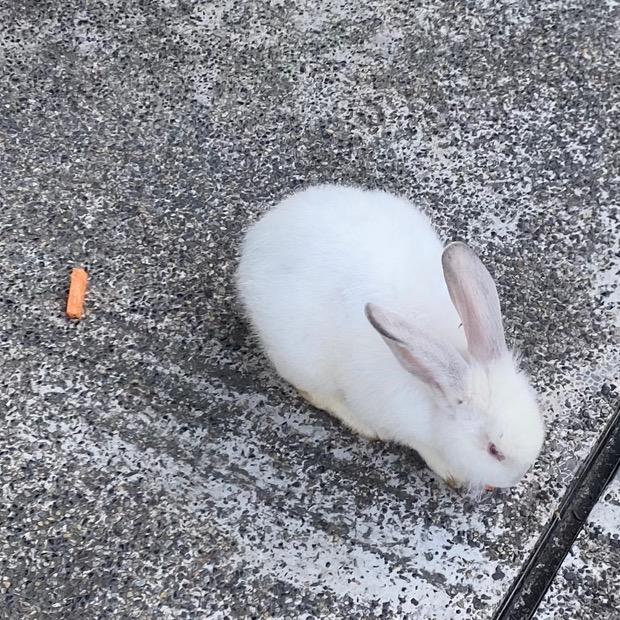 不完美的小满
