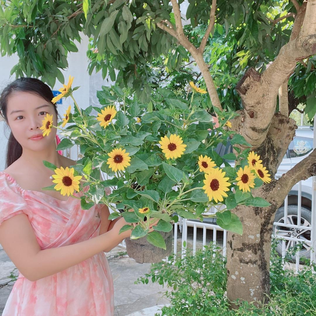 花满园花卉基地
