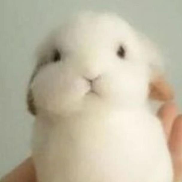 张吟梦