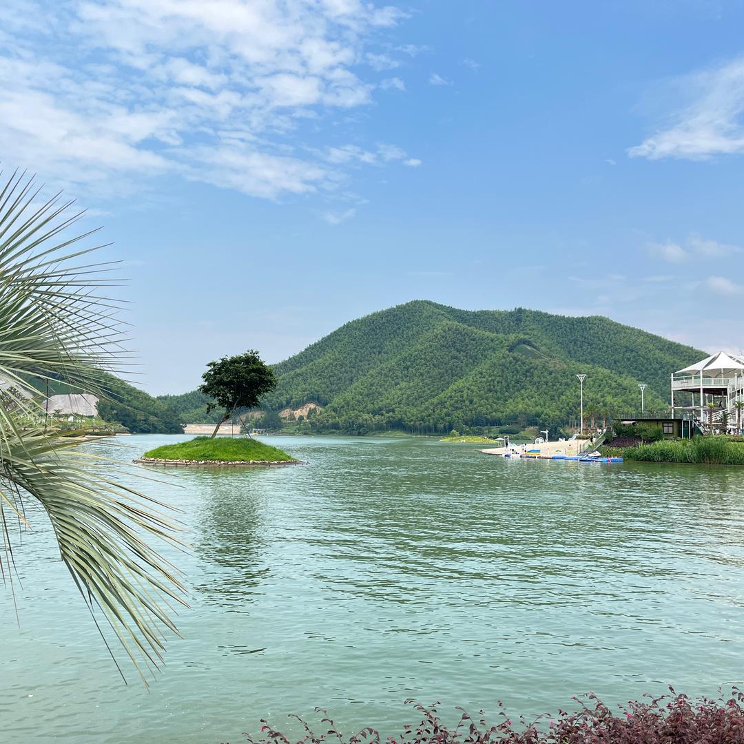 可惜我是水瓶座