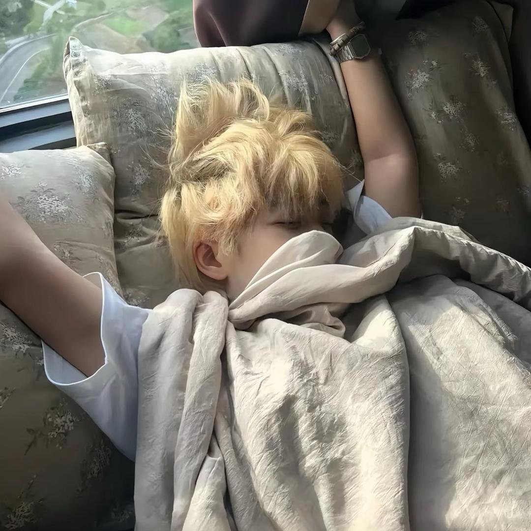 凡凡大王⚜️(来财版)