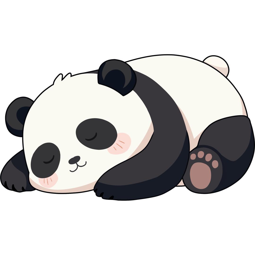 DreamDesigner.影像